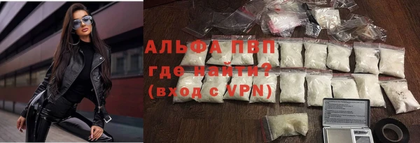 ПСИЛОЦИБИНОВЫЕ ГРИБЫ Бородино