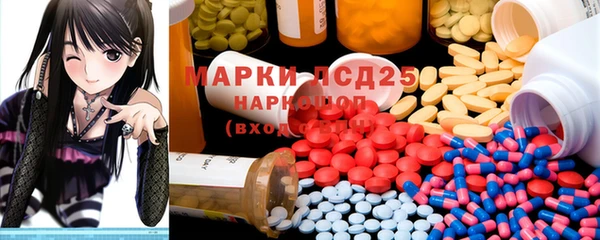 ПСИЛОЦИБИНОВЫЕ ГРИБЫ Бородино