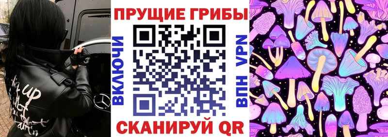 где найти наркотики  Верхотурье  Псилоцибиновые грибы Psilocybine cubensis 